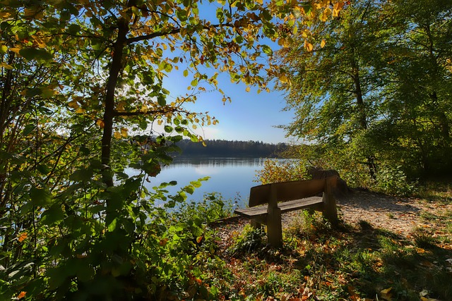 的深刻认知 的深刻认知