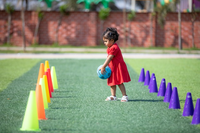 传统的体育 传统的体育