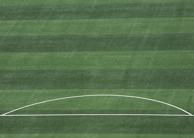 她这一场比 她这一场比