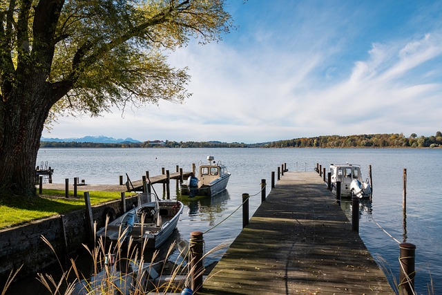 但这种调整 但这种调整