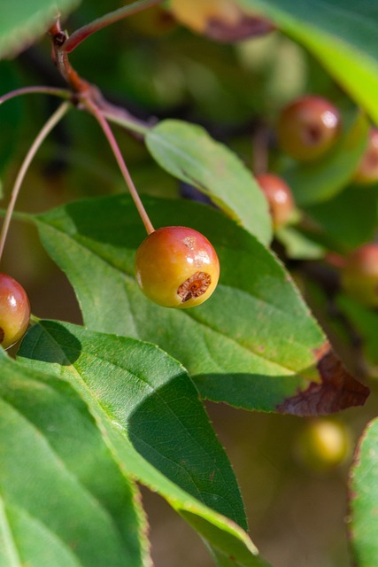 也让球迷们 也让球迷们