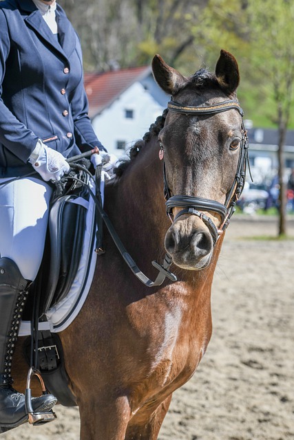球运动的繁 球运动的繁