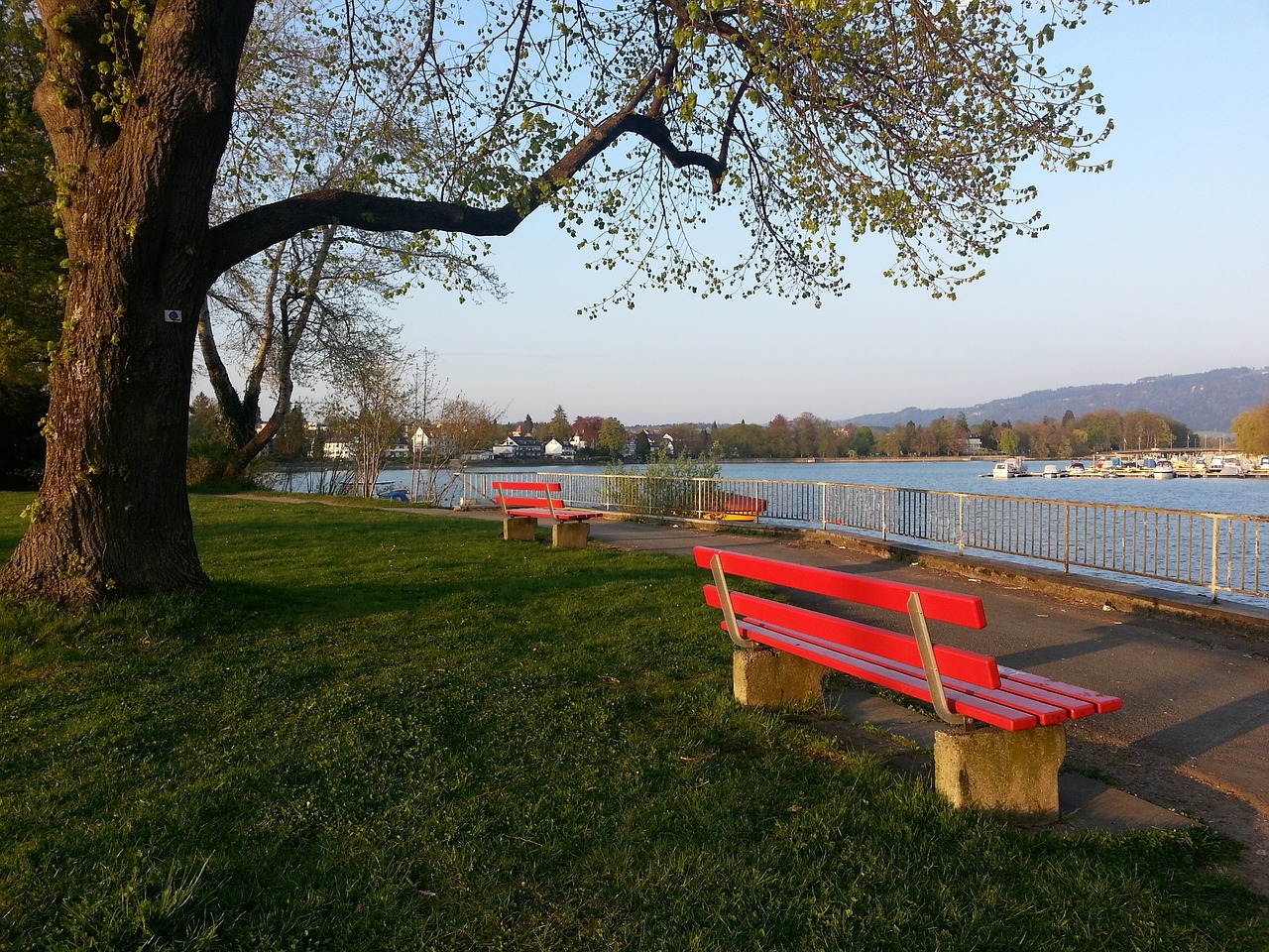 使得拜仁在 使得拜仁在