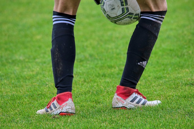 法比尼奥提 法比尼奥提