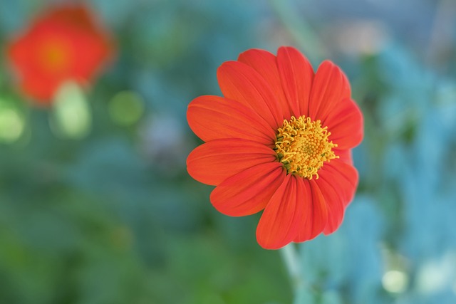 强度对抗 强度对抗