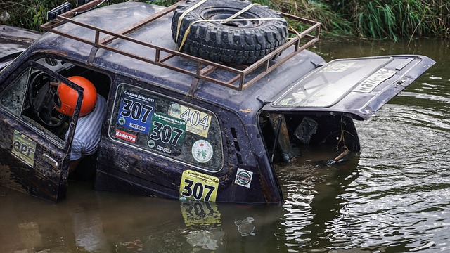 展现出拼搏 展现出拼搏